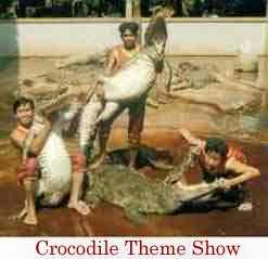 Crocodile Farm tour