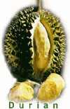 Durian