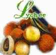 Lychee or leechee