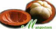 Thai mangosteen