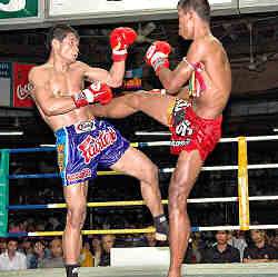 Muay Thai Kickboxing