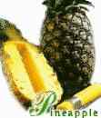 Pineapple (ananas)