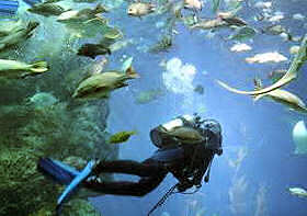 Siam Ocean World